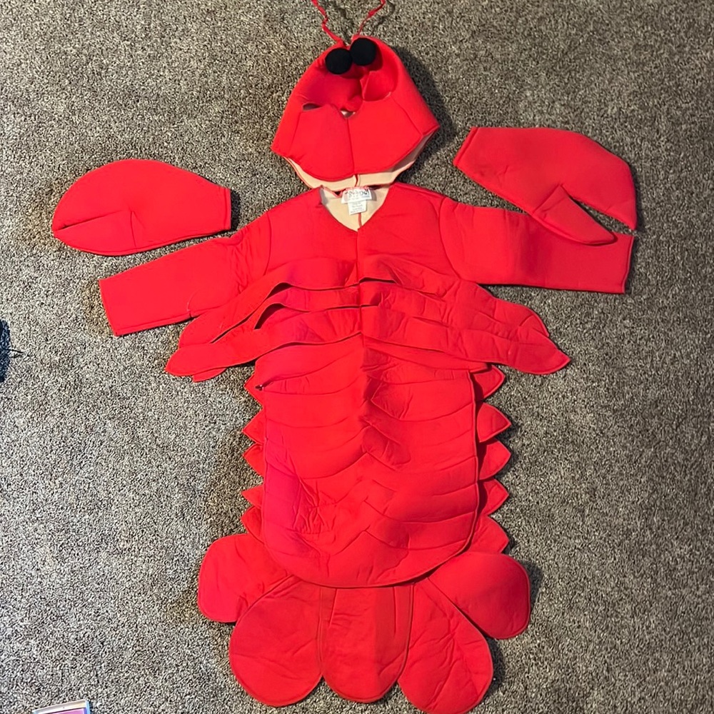 Lobster costume. Smoke free pet free home.